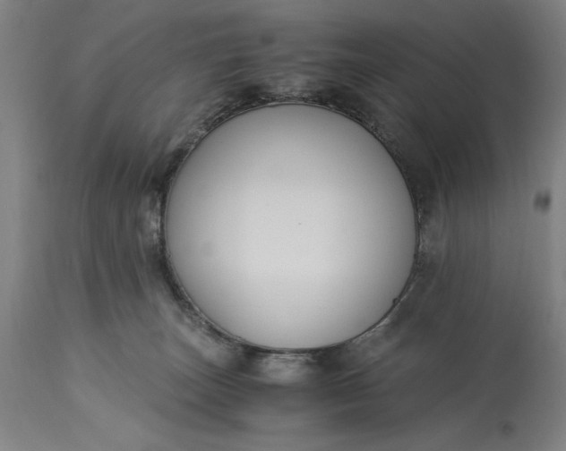 X0000115300179200911161706