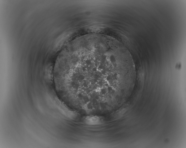 X0000115300181200911161706