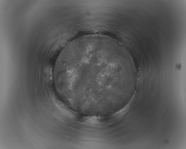 X0000115300182200911161706