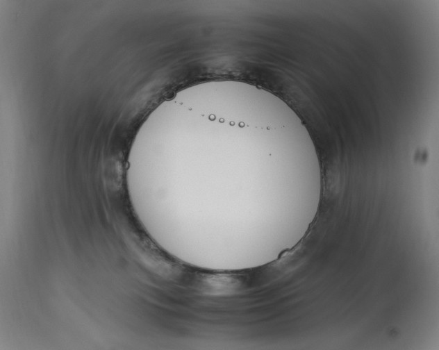 X0000115300183200911161706