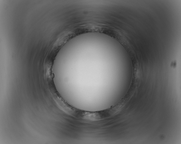 X0000115300185200911161706