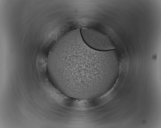 X0000115300186200911161706