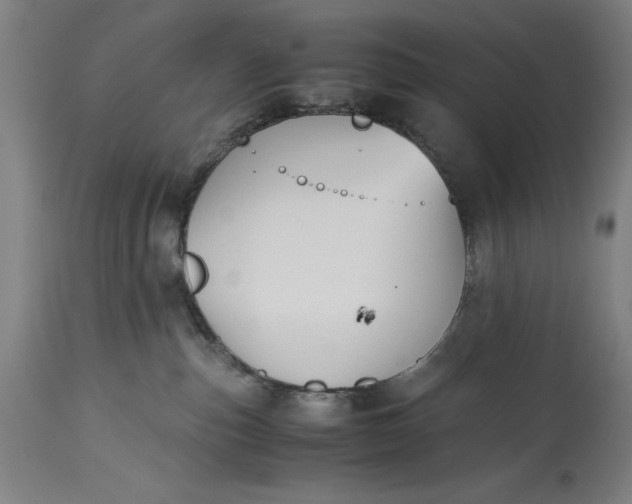 X0000115300187200911161706