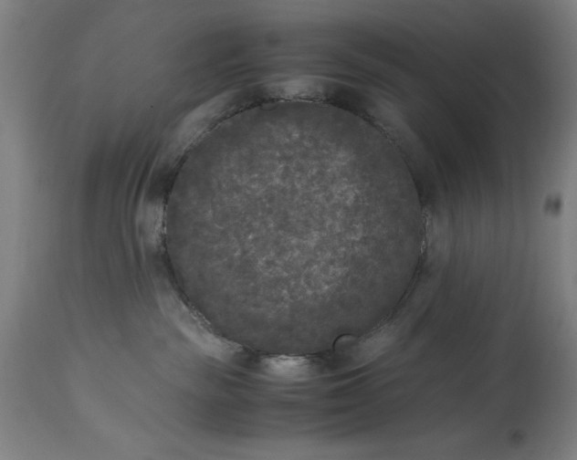 X0000115300189200911161706