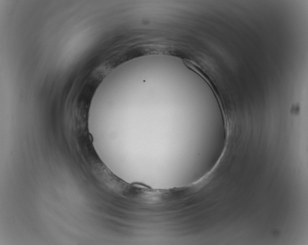 X0000115300190200911161706