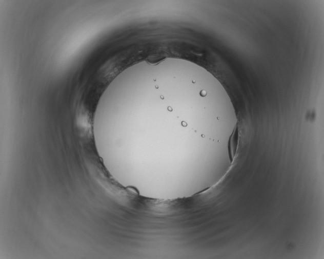 X0000115300191200911161706