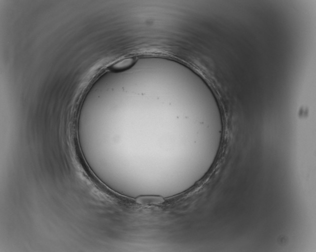 X0000115300193200911161705