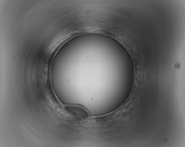 X0000115300194200911161705