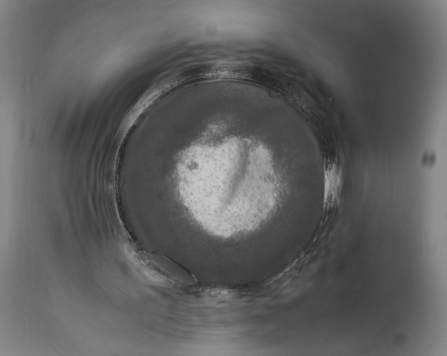 X0000115300195200911161705