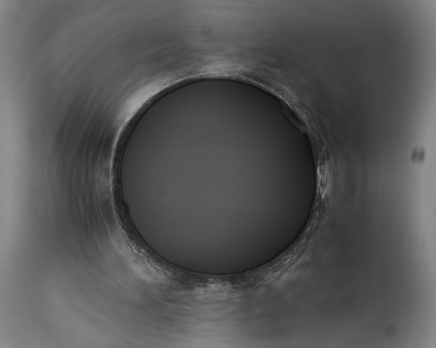 X0000115300196200911161705