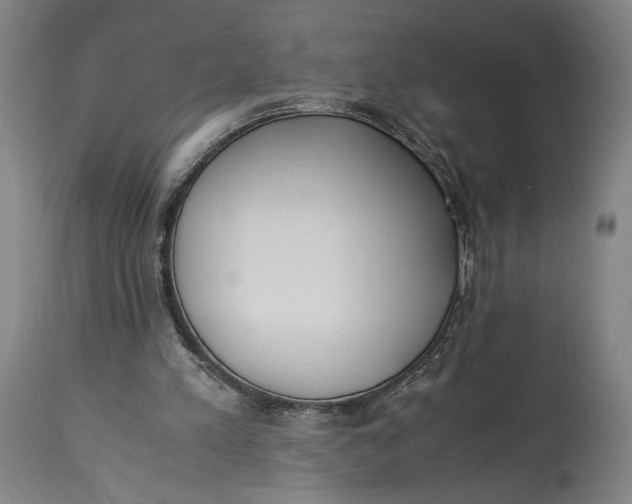 X0000115300197200911161705