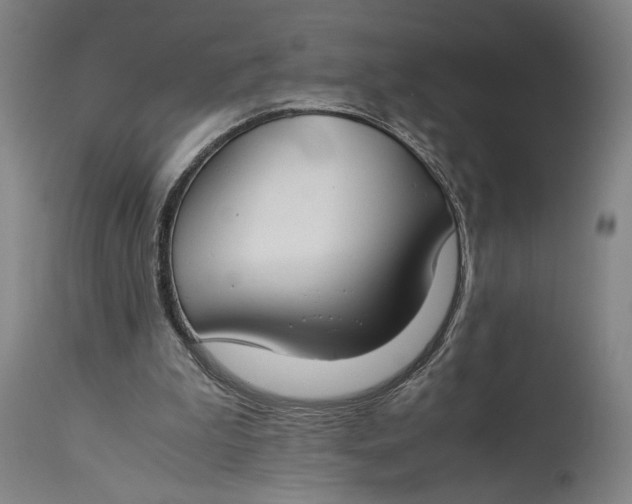 X0000115300199200911161705