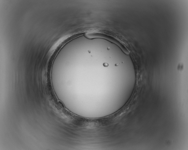 X0000115300200200911161705