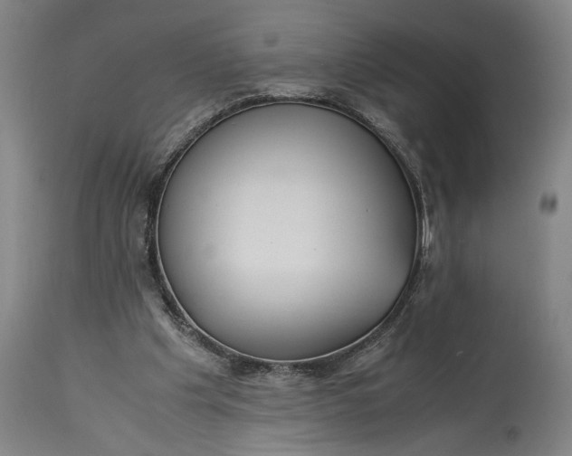 X0000115300201200911161705