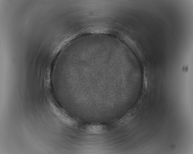 X0000115300202200911161705