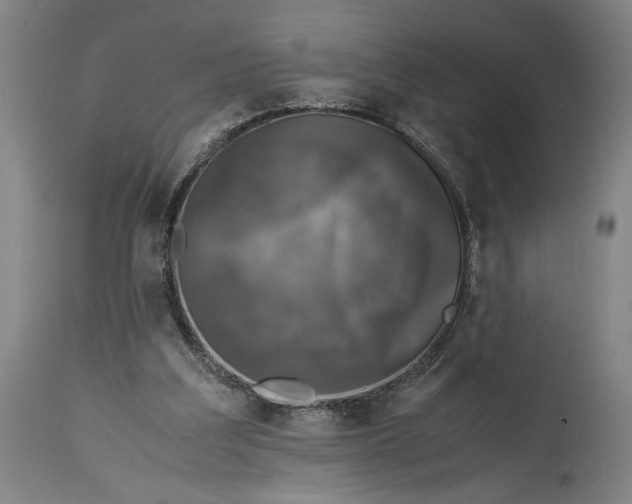 X0000115300203200911161705