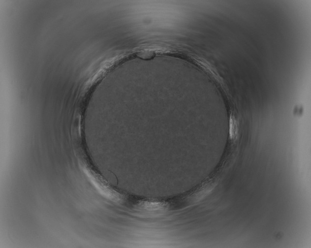 X0000115300205200911161705