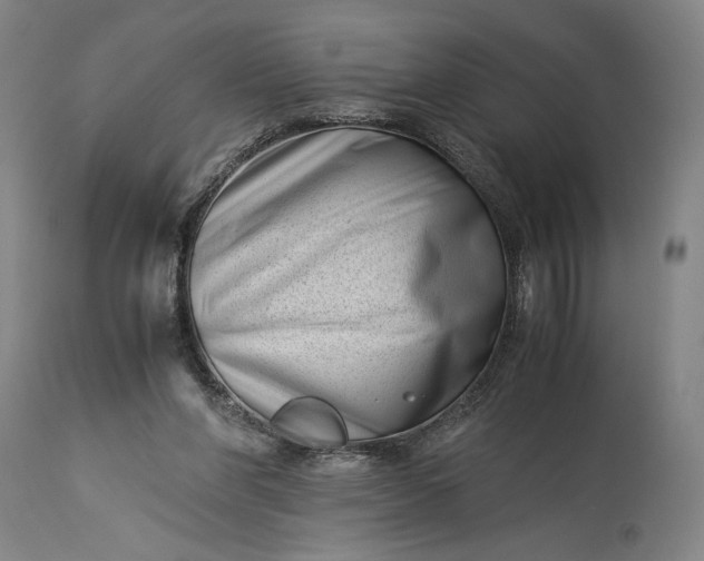 X0000115300206200911161705