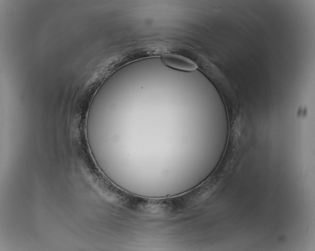 X0000115300209200911161705