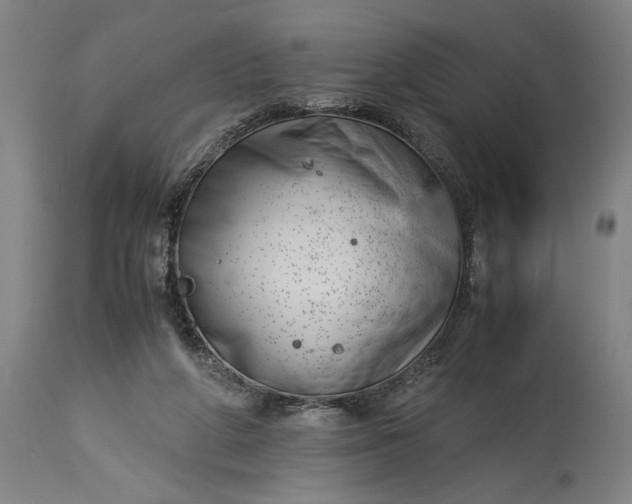 X0000115300210200911161705