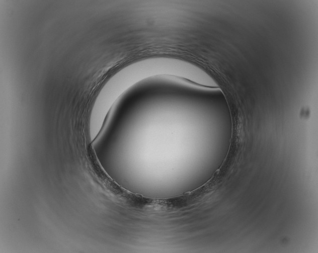 X0000115300211200911161705