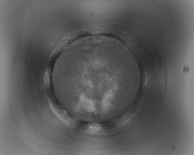 X0000115300214200911161705