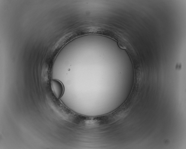 X0000115300216200911161705