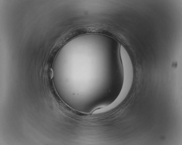 X0000115300217200911161705