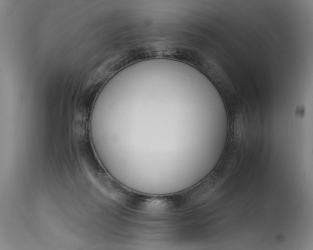 X0000115300218200911161705