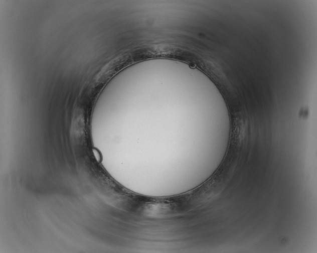 X0000115300220200911161705