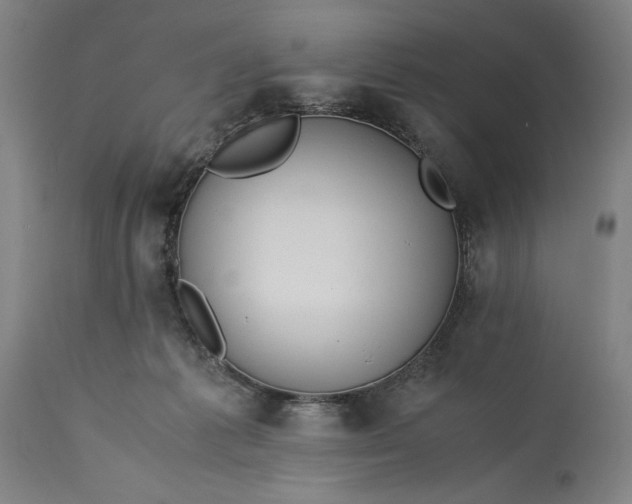 X0000115300221200911161705