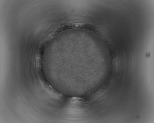 X0000115300222200911161705