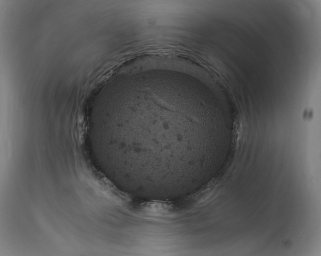 X0000115300223200911161705