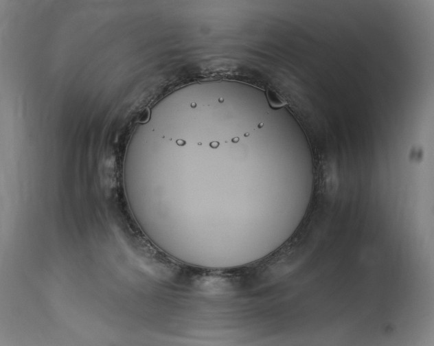 X0000115300224200911161705