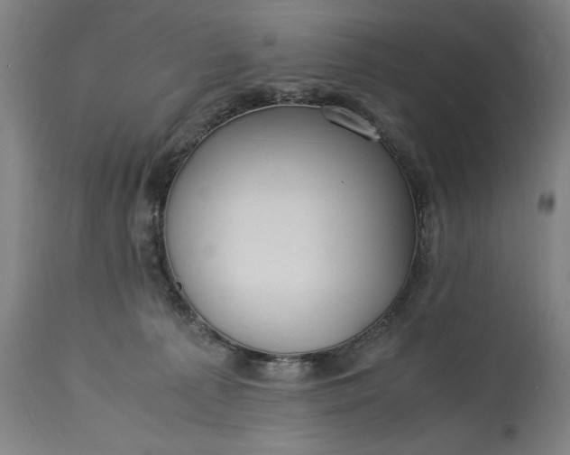 X0000115300225200911161705