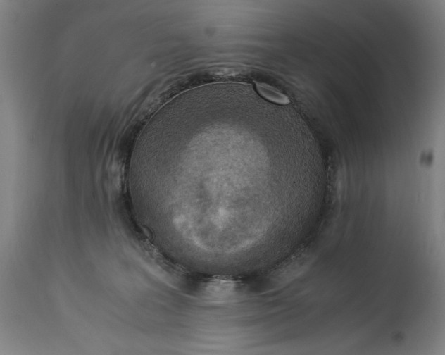 X0000115300227200911161705