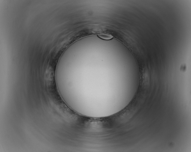 X0000115300228200911161705