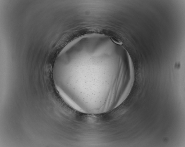 X0000115300229200911161705