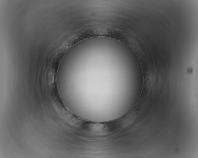 X0000115300230200911161705