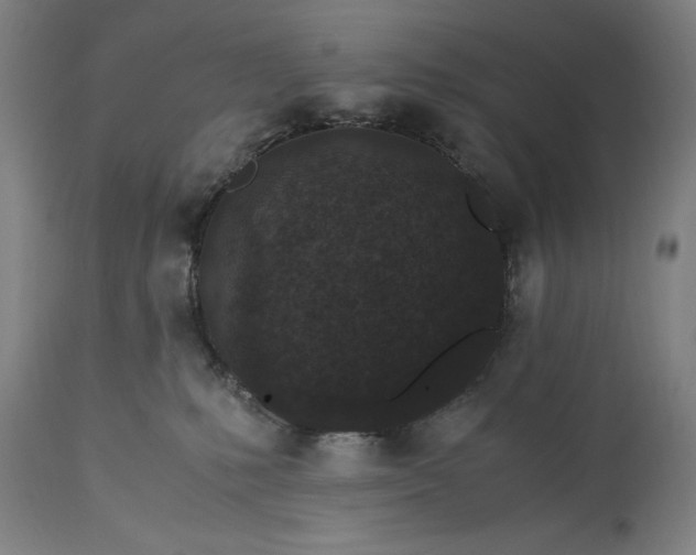 X0000115300231200911161705