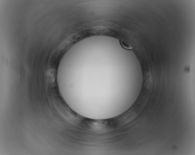 X0000115300232200911161705