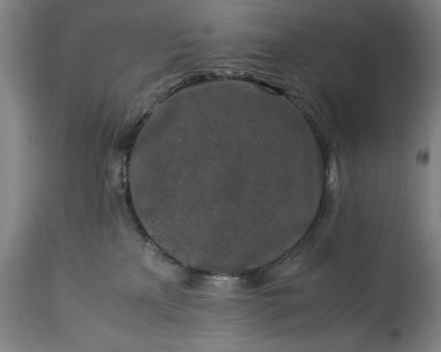 X0000115300233200911161705