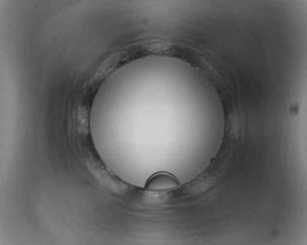 X0000115300234200911161705