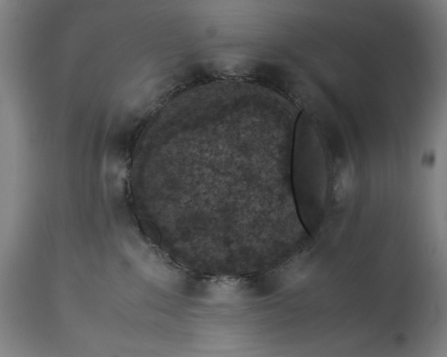 X0000115300235200911161705