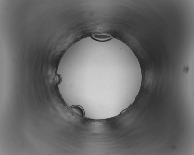 X0000115300236200911161705