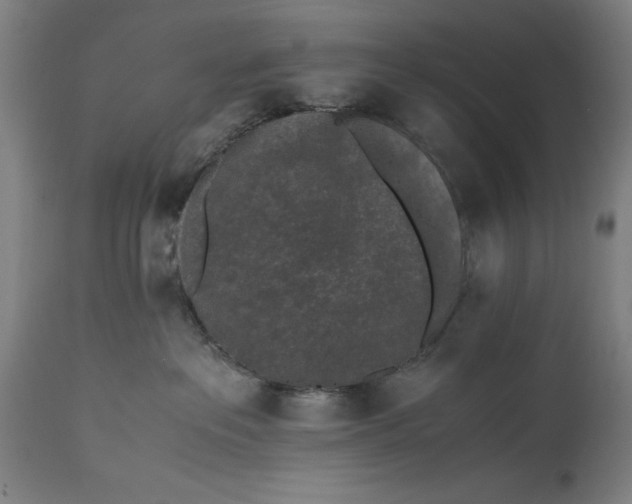 X0000115300237200911161705