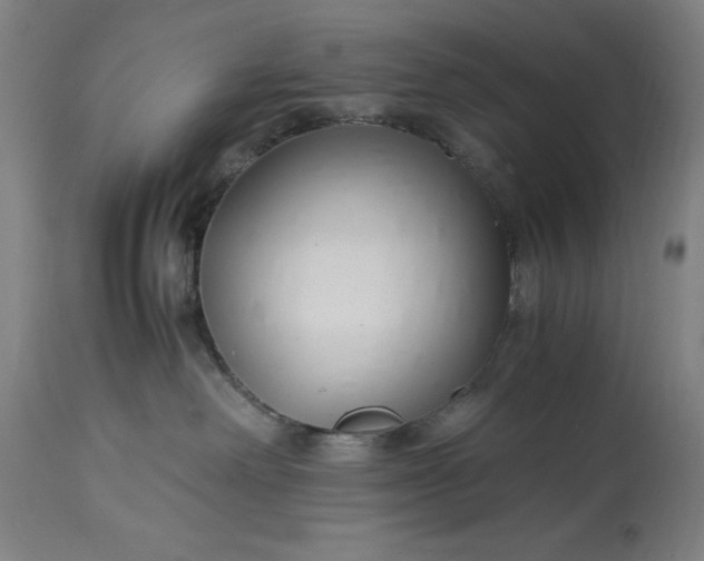 X0000115300238200911161705