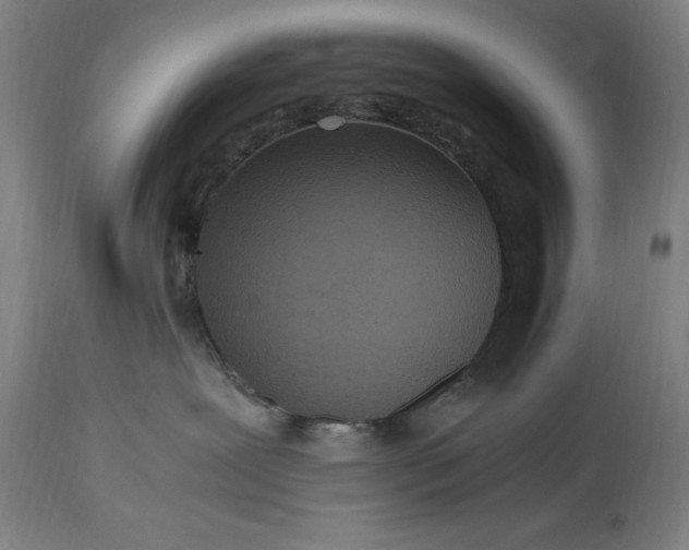 X0000115300239200911161705