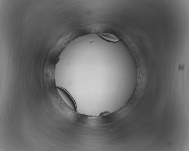 X0000115300240200911161705