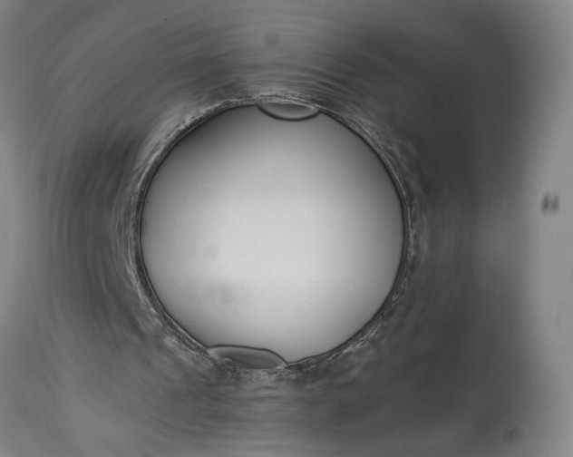 X0000115300241200911161704